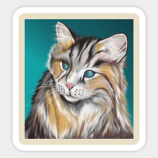 Blue eyed cat in studio Sticker